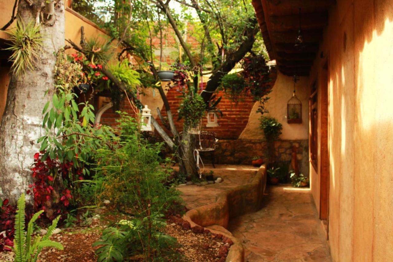 Hospedaje Boutique Paz Creativa San Cristóbal de Las Casas Extérieur photo